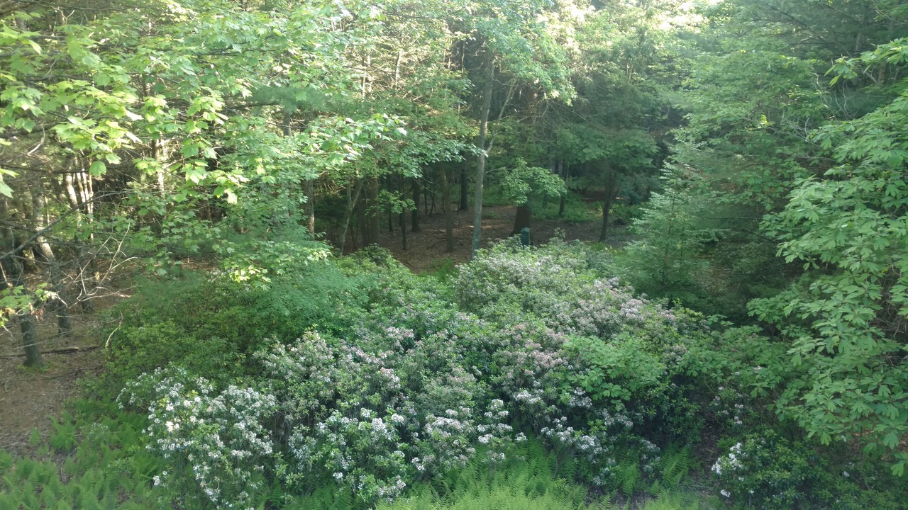 Photo of Others in Lock Haven