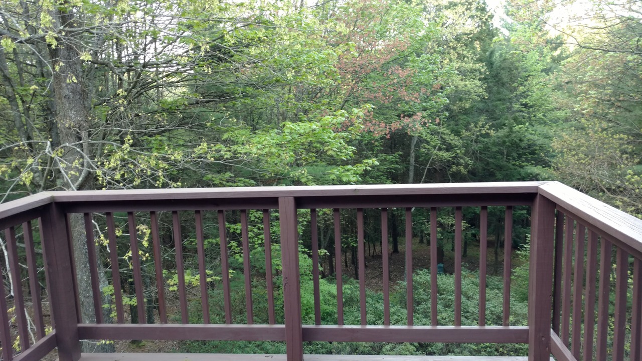 Photo of Others in Lock Haven