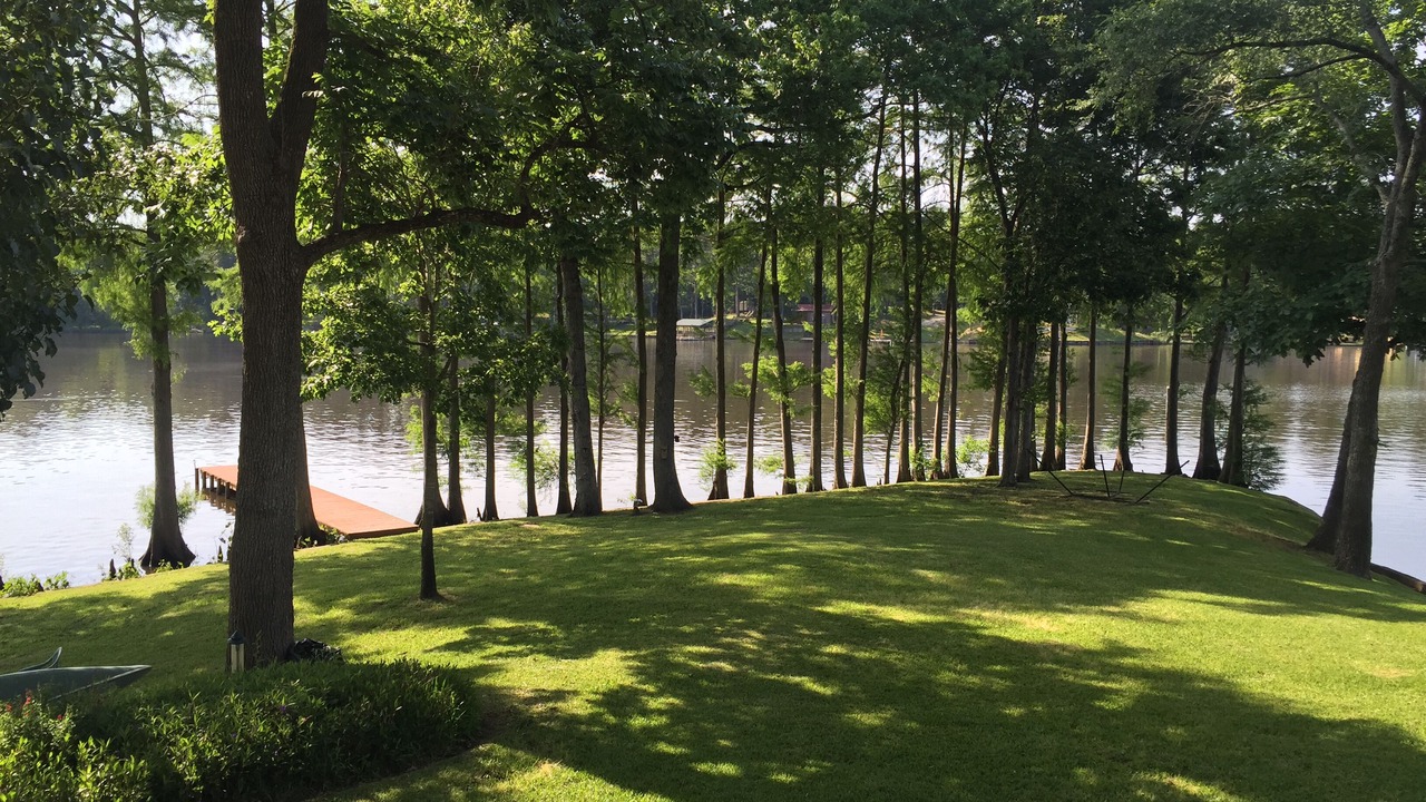 Photo of Outdoor in Long Branch
