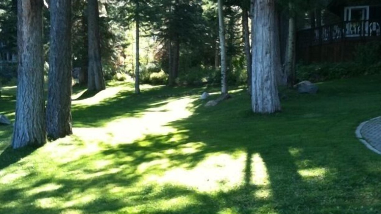 Photo of Outdoor in Carnelian Bay