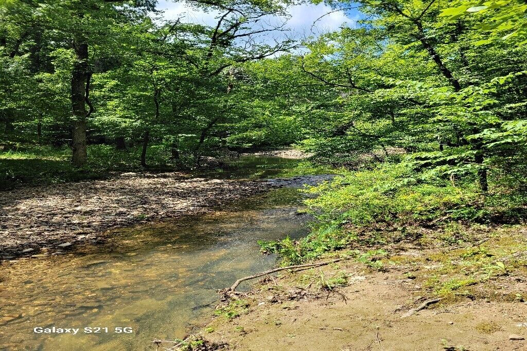 Photo of Others in Broken Bow