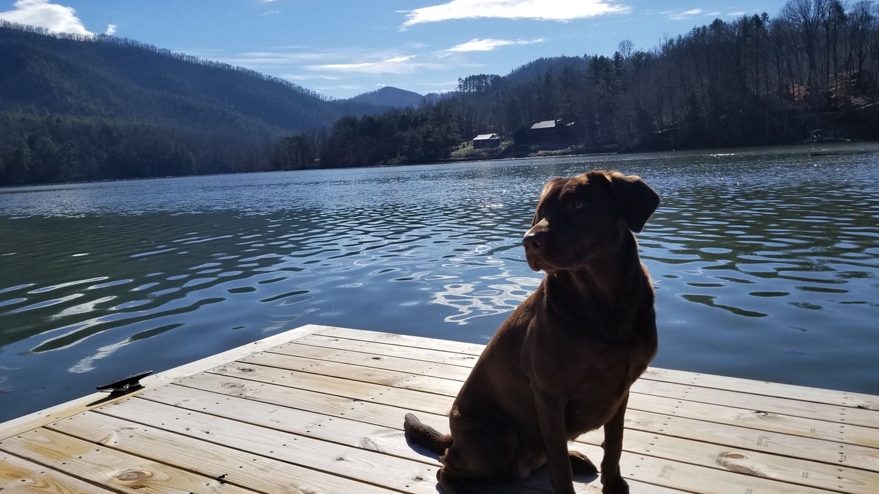 Photo of Outdoor in Butler