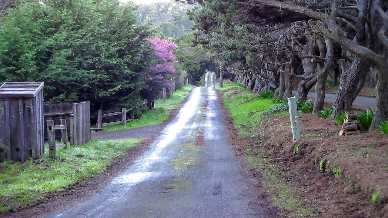 Photo of Others in Mendocino
