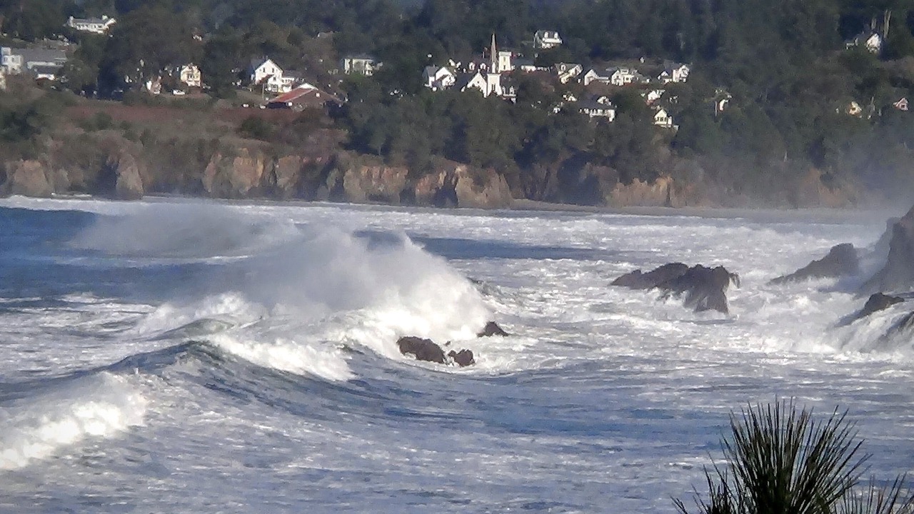 Photo of Others in Mendocino