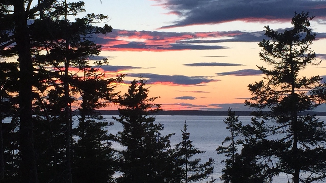 Photo of Others in Swans Island