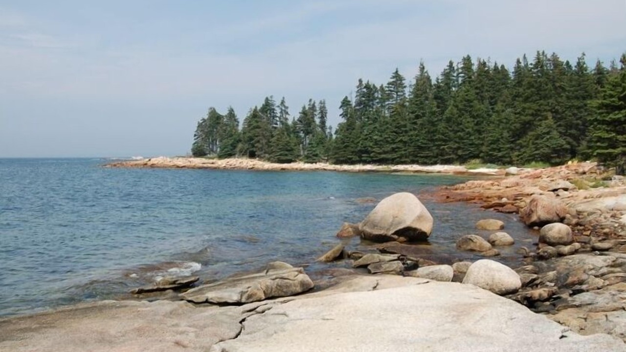 Photo of Others in Swans Island