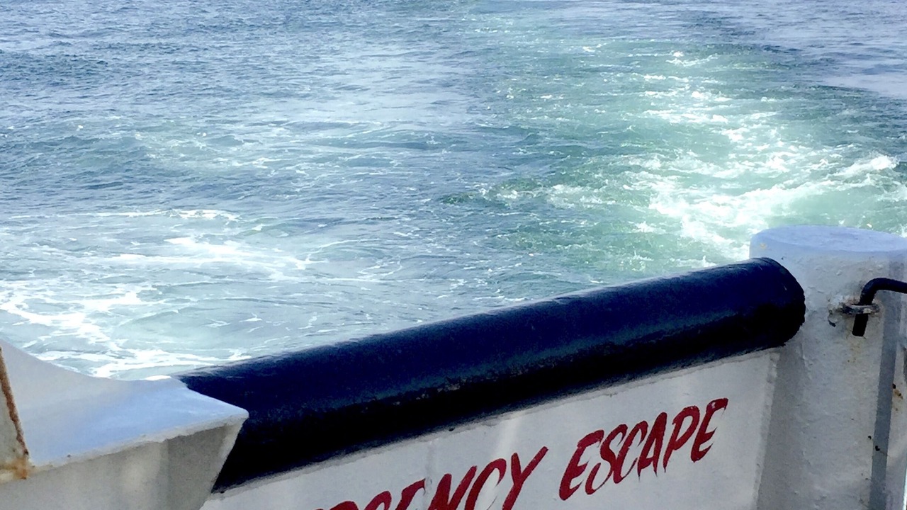 Photo of Others in Swans Island