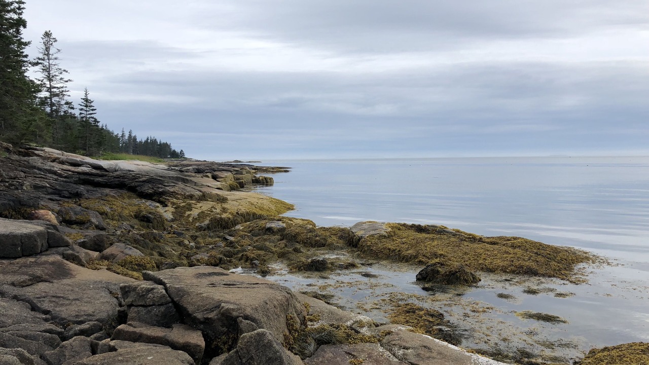 Photo of Others in Swans Island