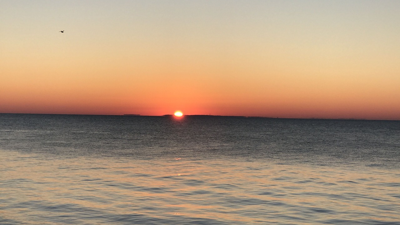 Photo of Others in Old Saybrook