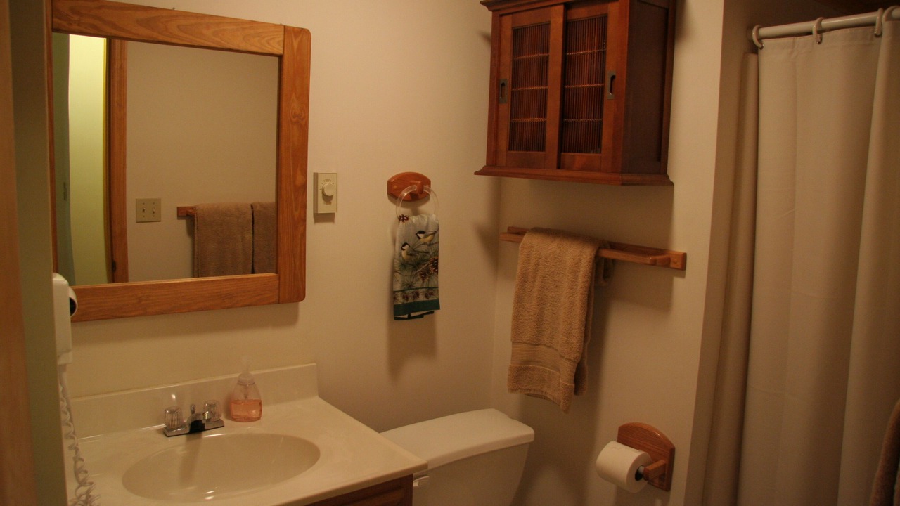 Photo of Bathroom in Lake Placid