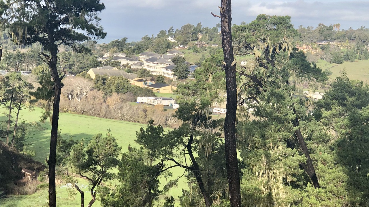 Photo of Outdoor in Lodge Hill