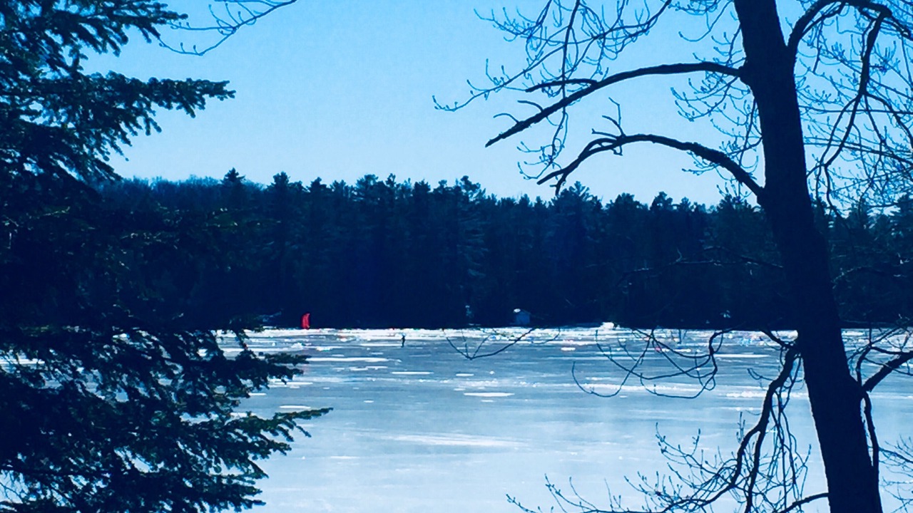 Photo of Outdoor in Gooderham