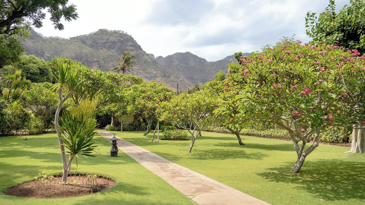 Photo of Others in Pemuteran