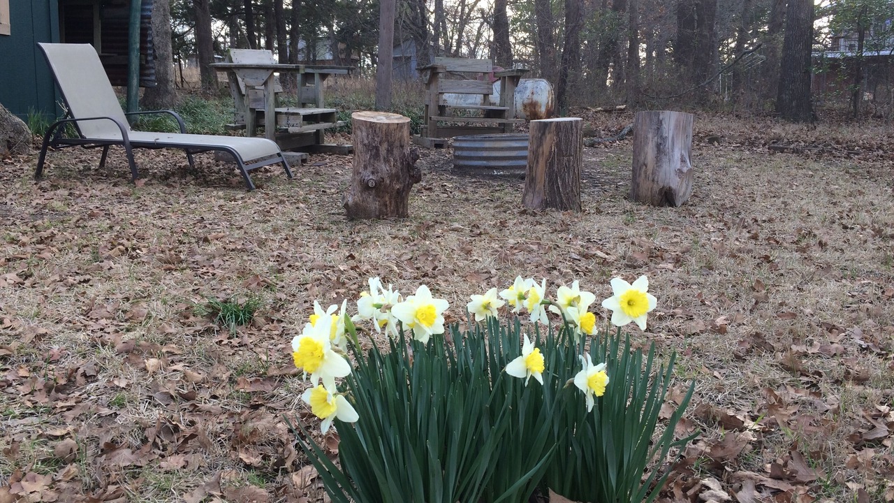 Photo of Outdoor in Gordonville