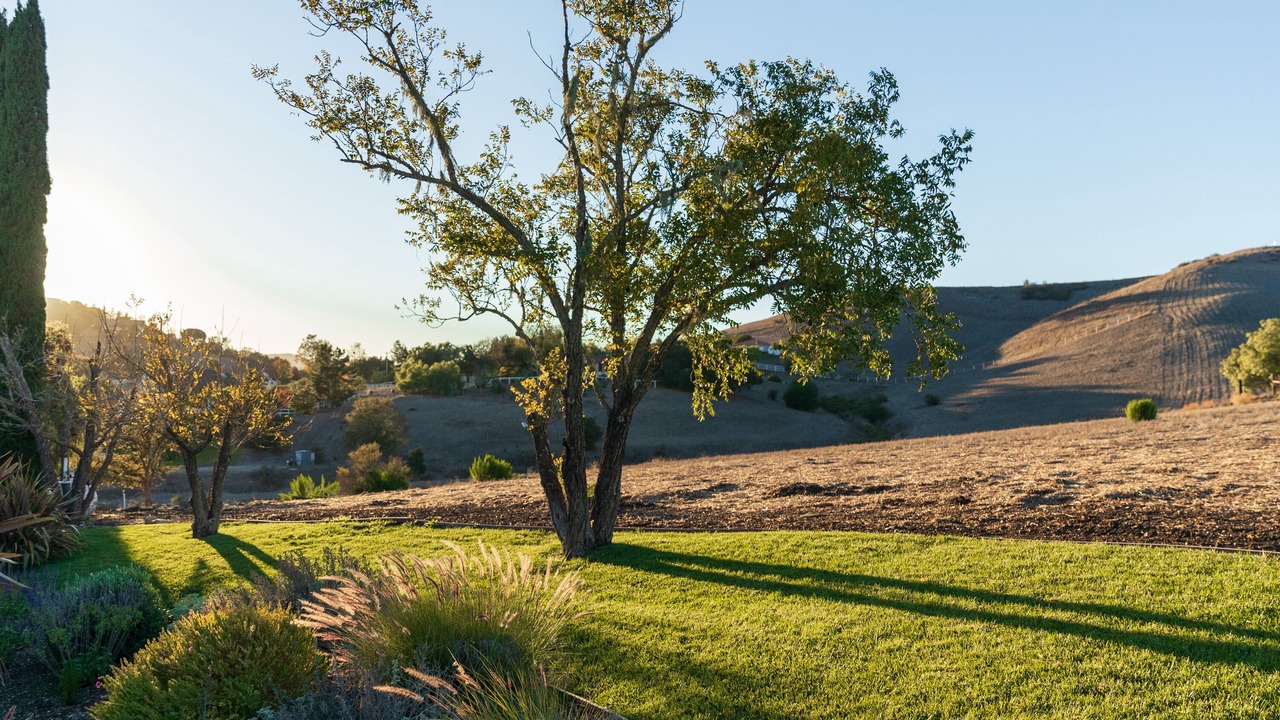 Photo of Outdoor in Solvang
