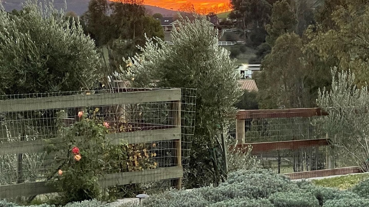 Photo of Outdoor in Solvang