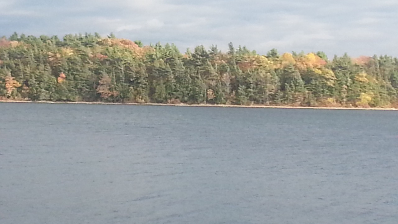 Photo of Others in Wellesley Island