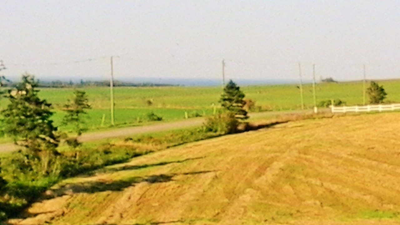 Photo of Others in Burlington