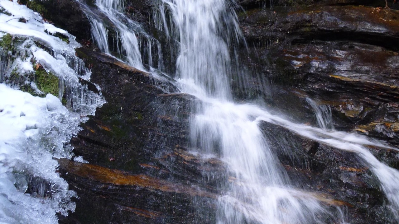 Photo of Outdoor in Walhalla