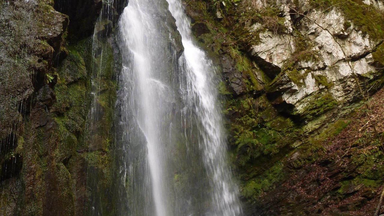 Photo of Others in Walhalla