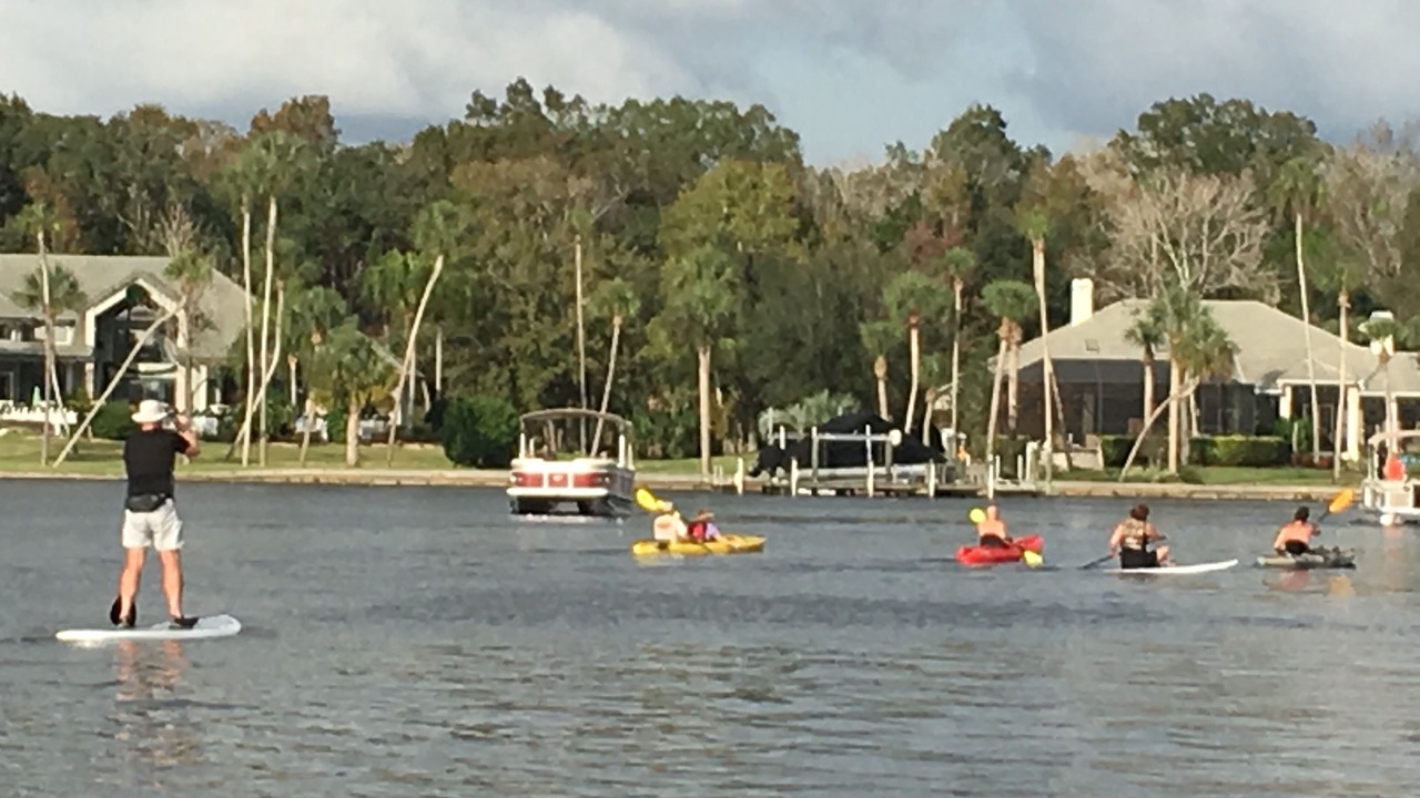 Photo of Others in Homosassa
