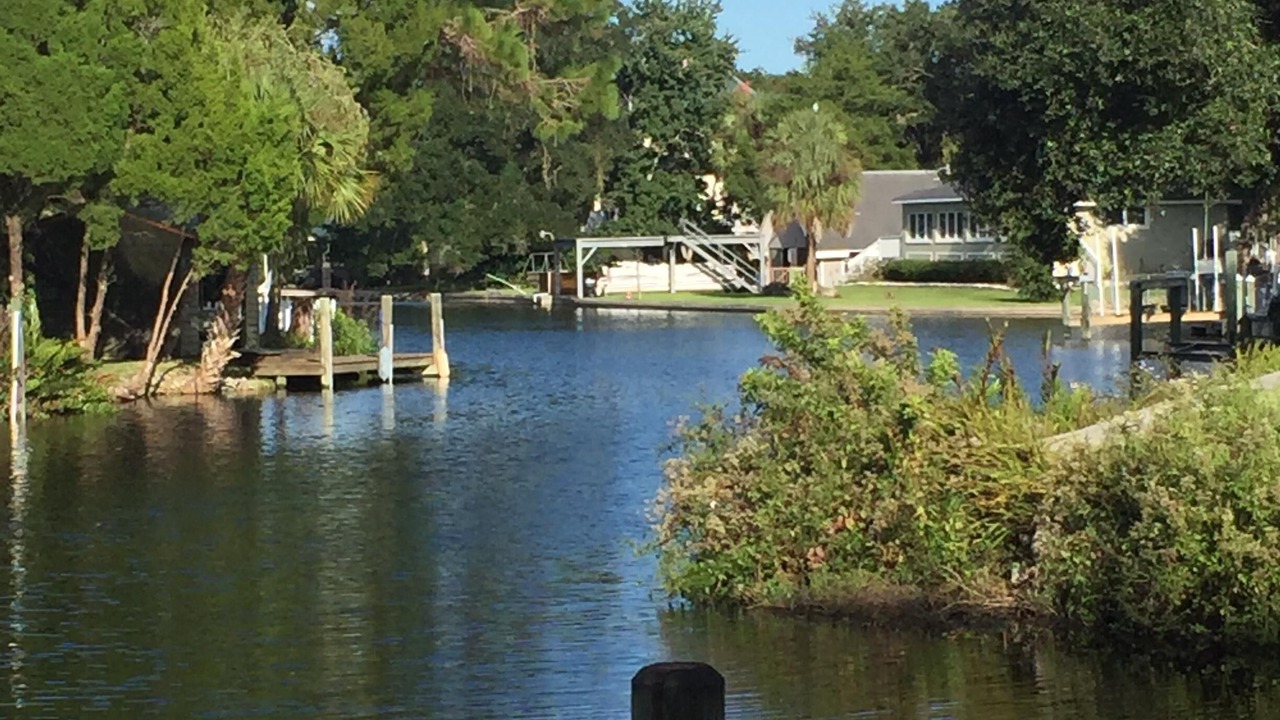 Photo of Others in Homosassa