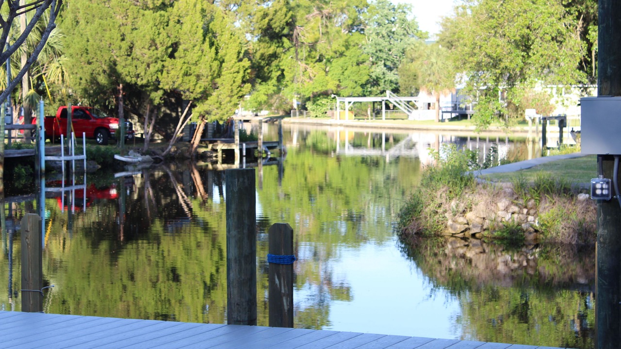 Photo of Others in Homosassa