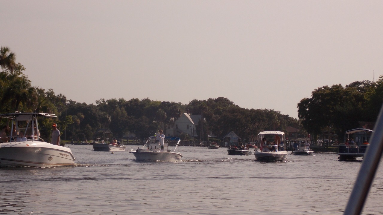 Photo of Others in Homosassa