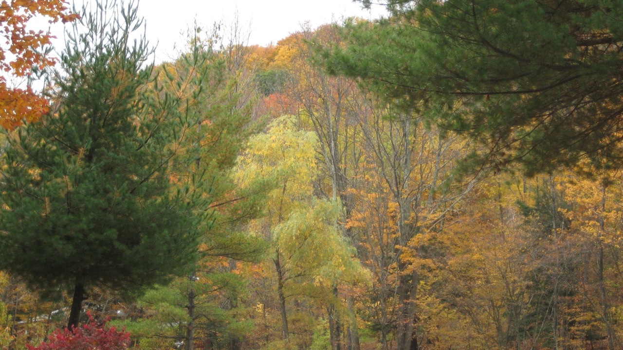 Photo of Outdoor in Phoenicia