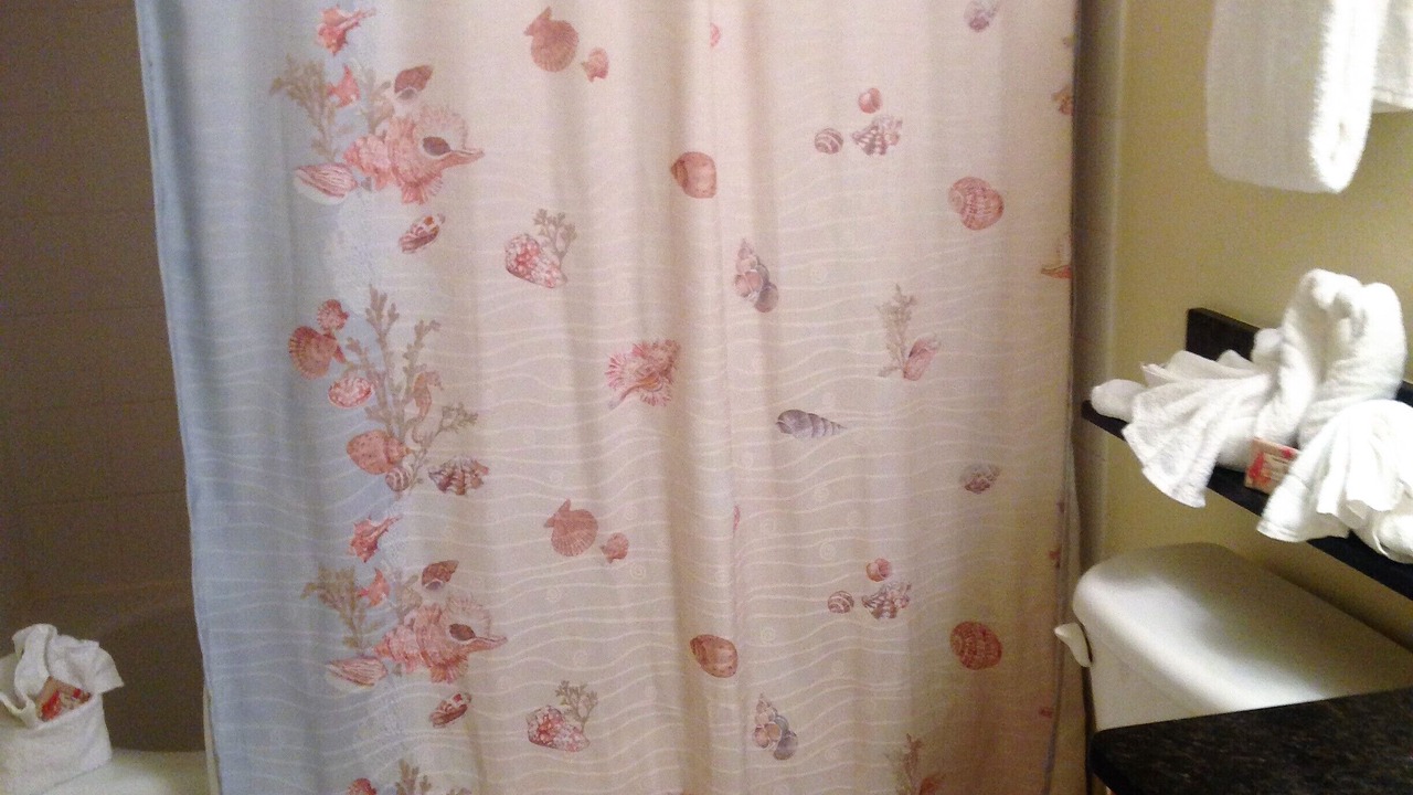 Photo of Bathroom in Belle Vista