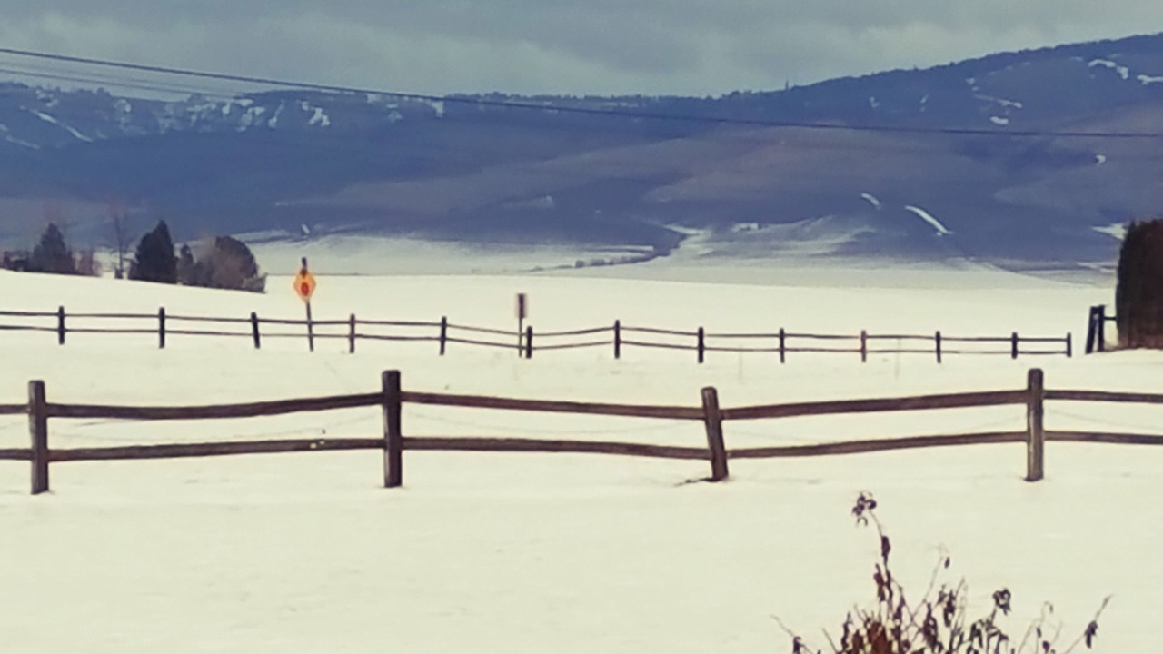 Photo of Others in Walla Walla