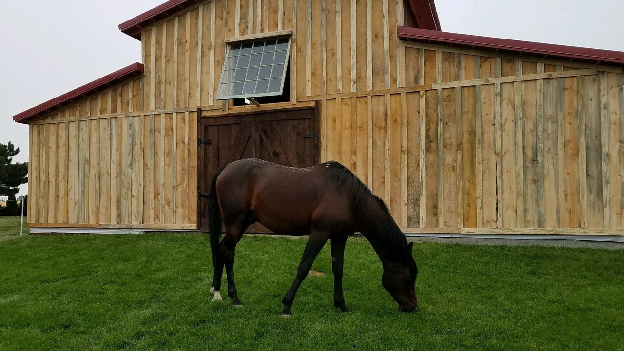 Photo of Outdoor in Walla Walla