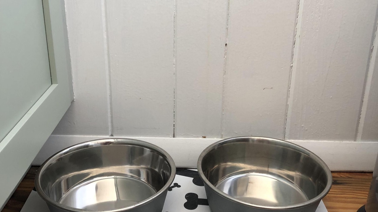 Photo of Kitchen in Kitty Hawk