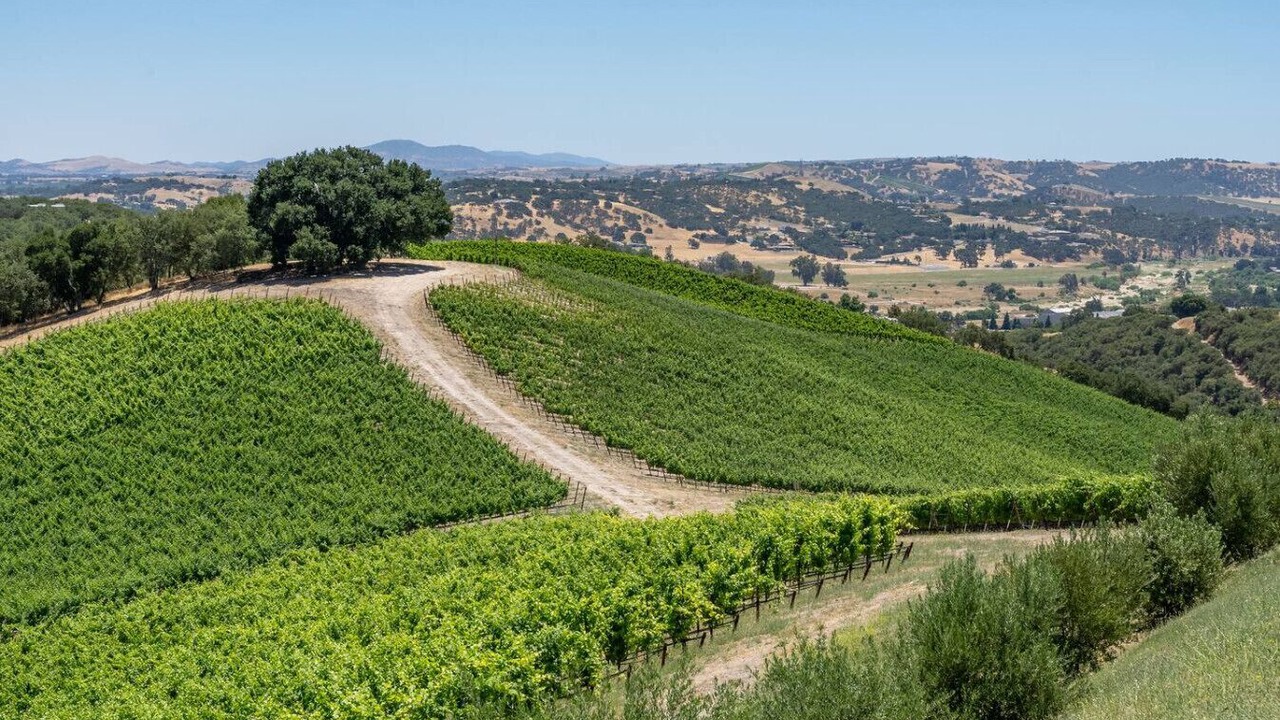 Photo of Others in Paso Robles