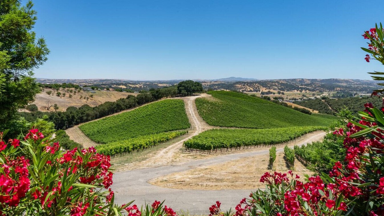 Photo of Others in Paso Robles