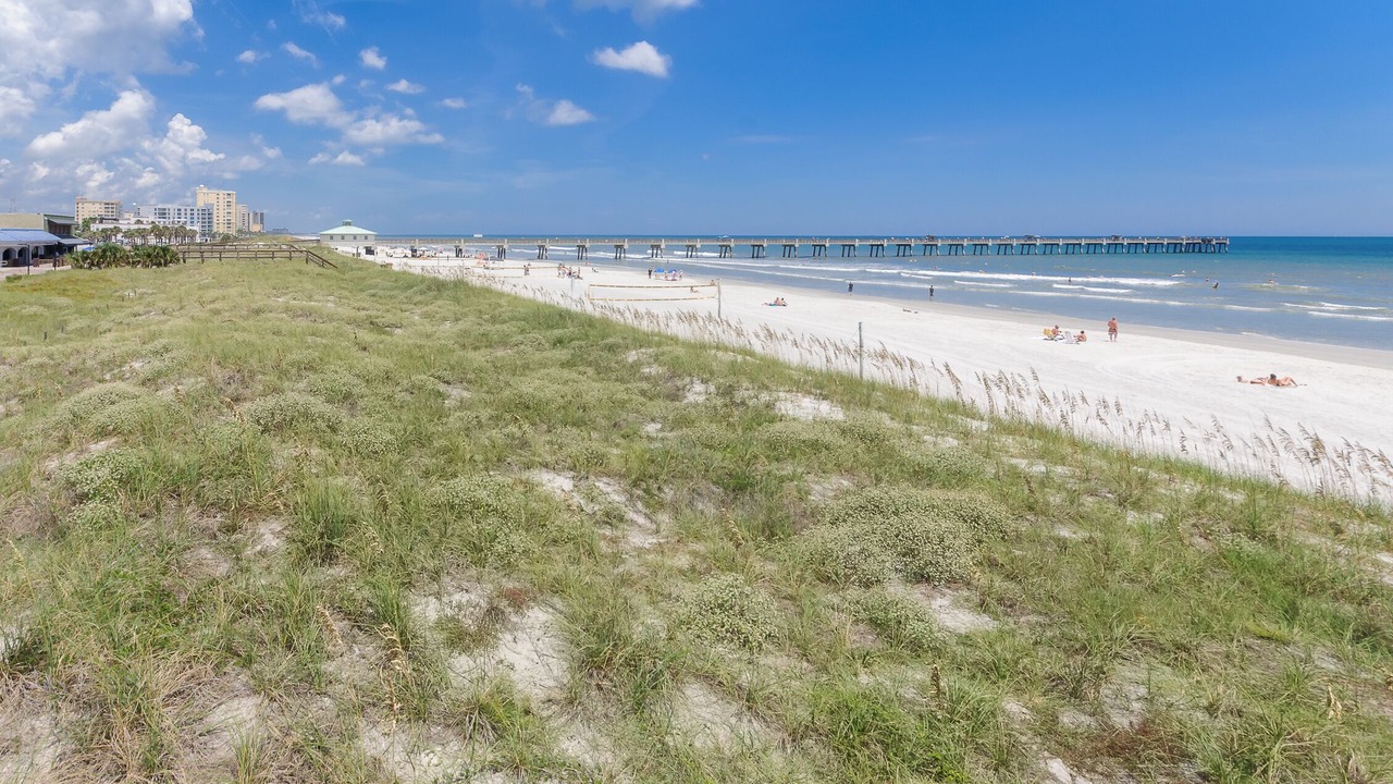 Photo of Others in Jacksonville Beach