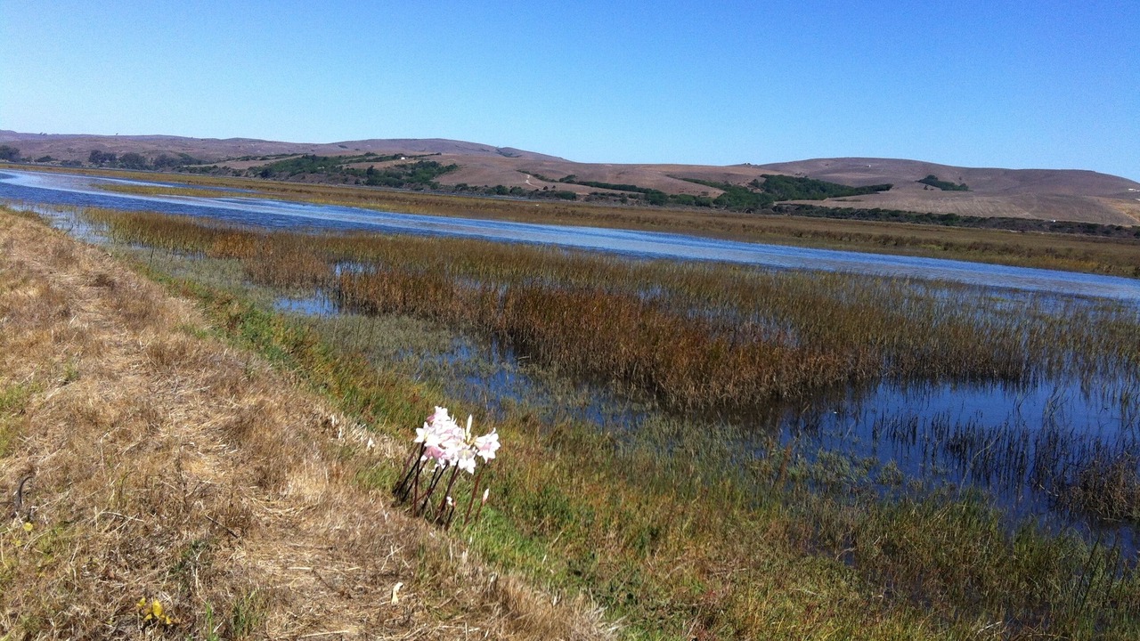 Photo of Others in Point Reyes Station