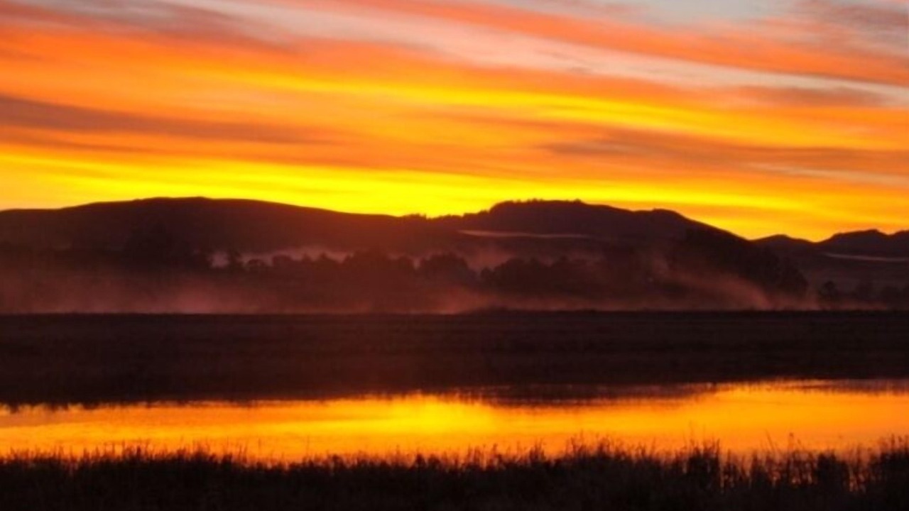 Photo of Others in Point Reyes Station