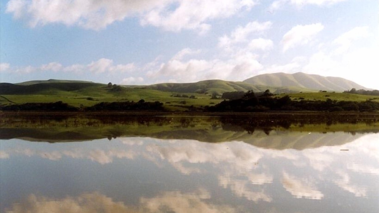 Photo of Others in Point Reyes Station