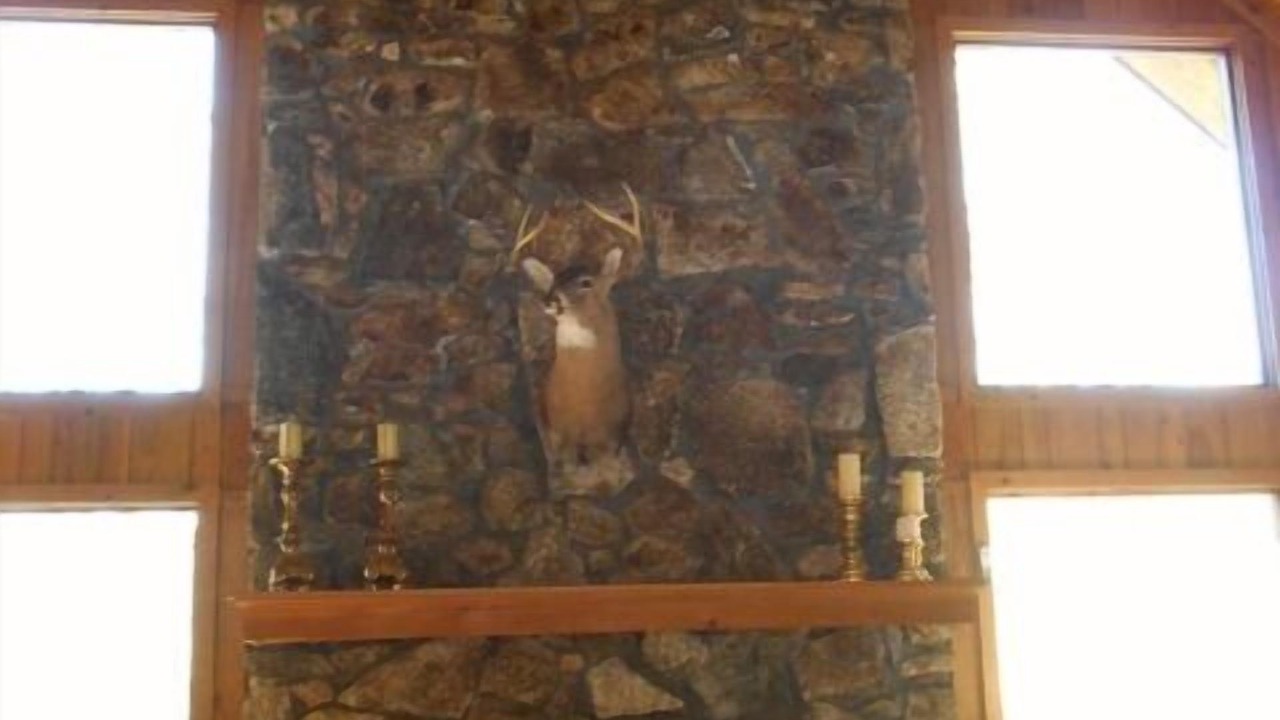 Photo of Livingroom in Wolf Laurel