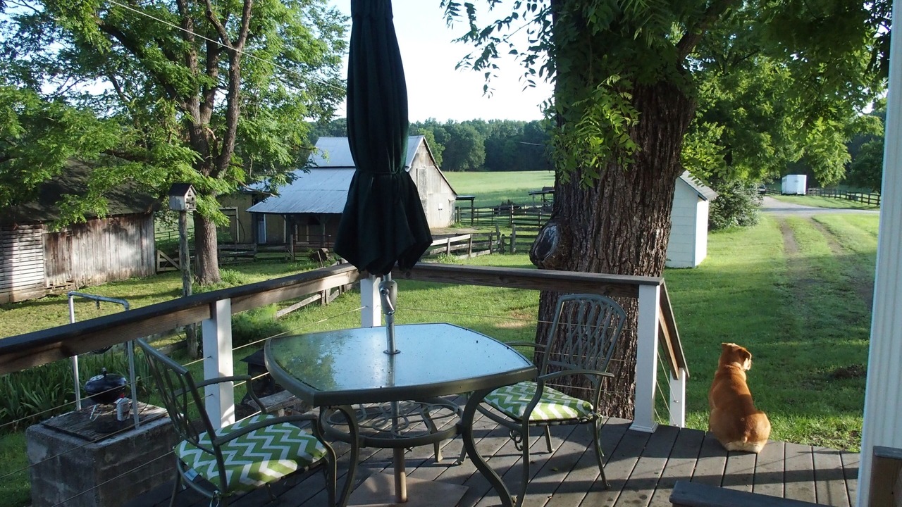 Photo of Others in Macon