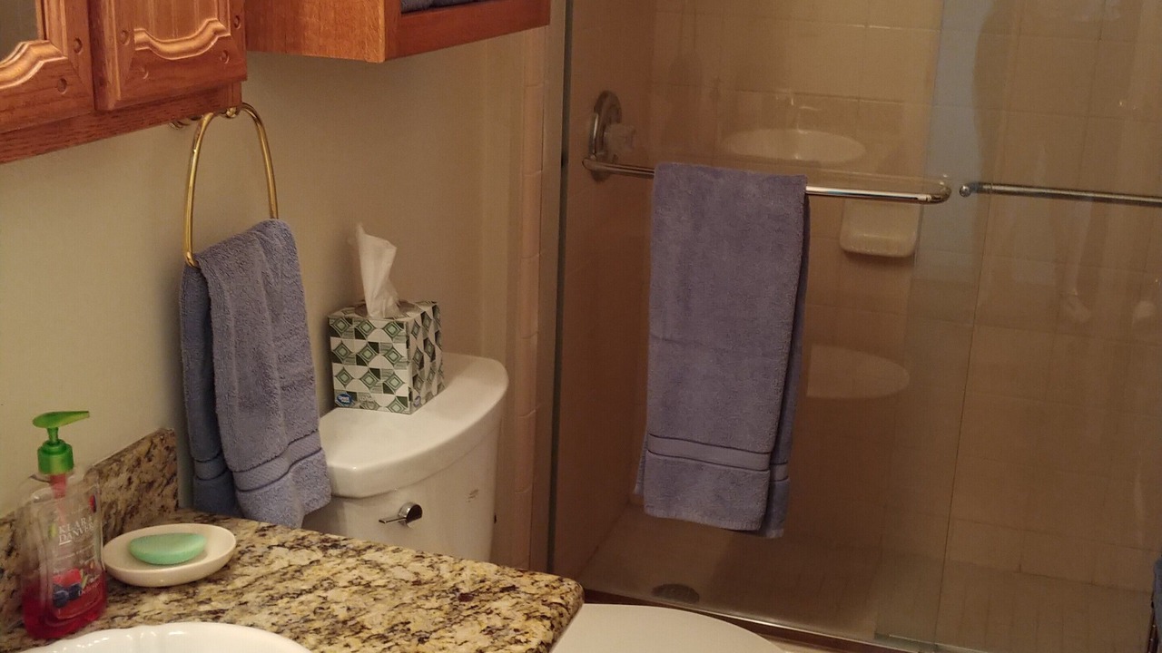 Photo of Bathroom in Livingston