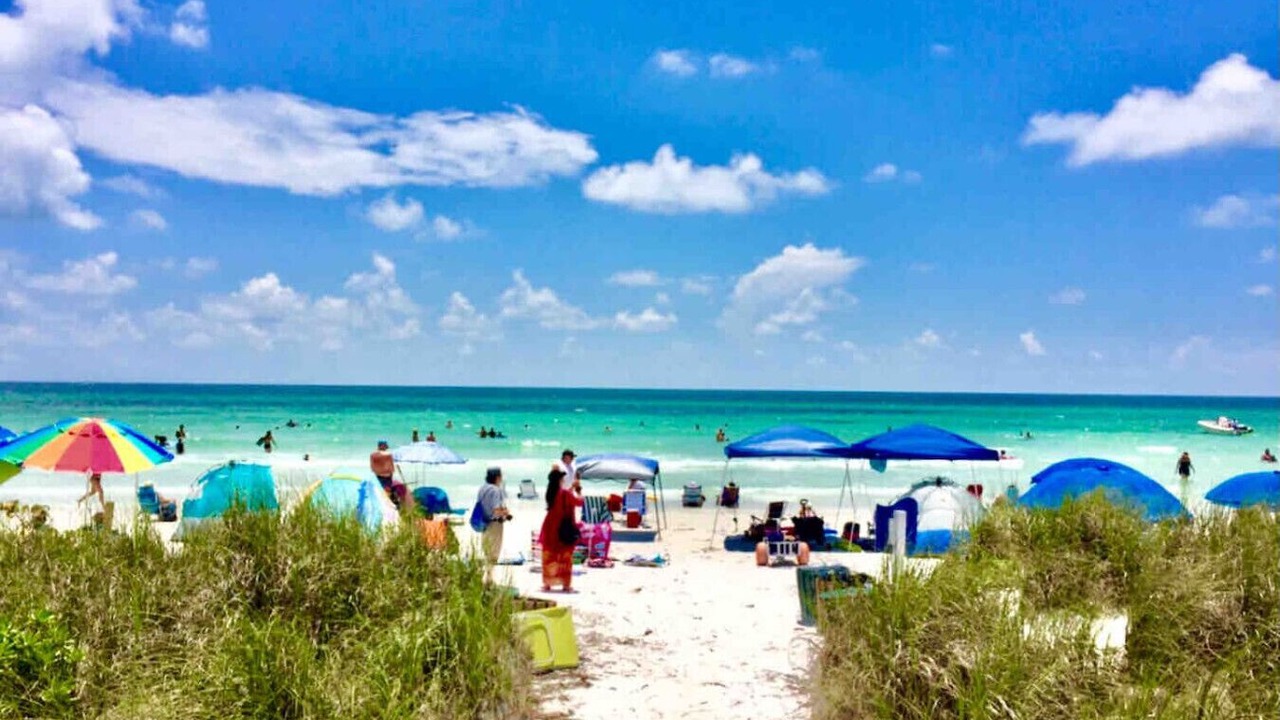 Photo of Others in Siesta Key