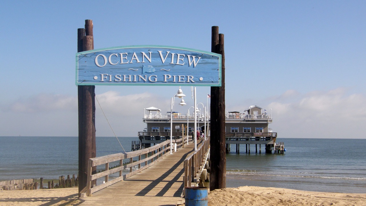 Photo of Others in Willoughby Spit