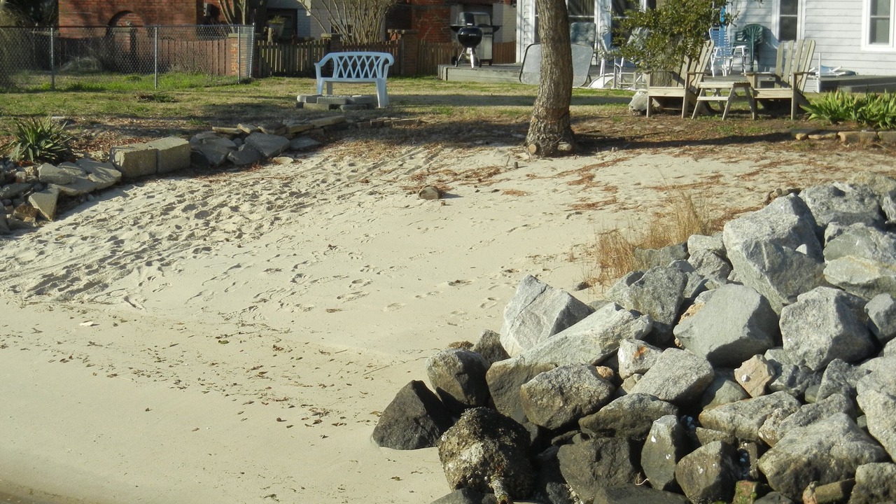 Photo of Others in Willoughby Spit