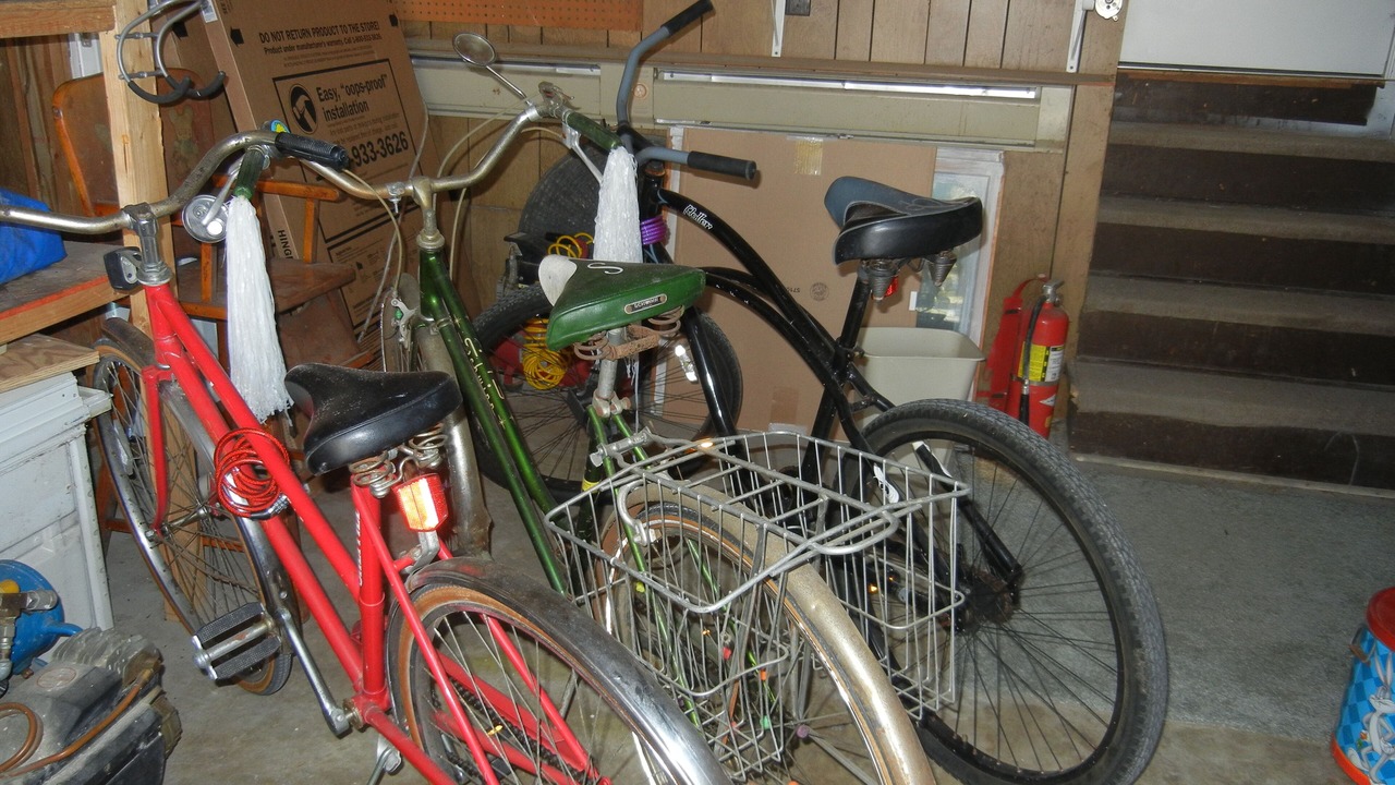 Photo of Others in Willoughby Spit