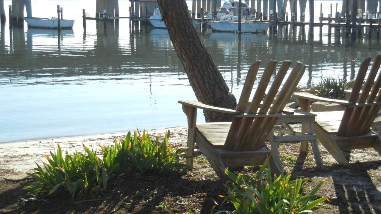 Photo of Others in Willoughby Spit