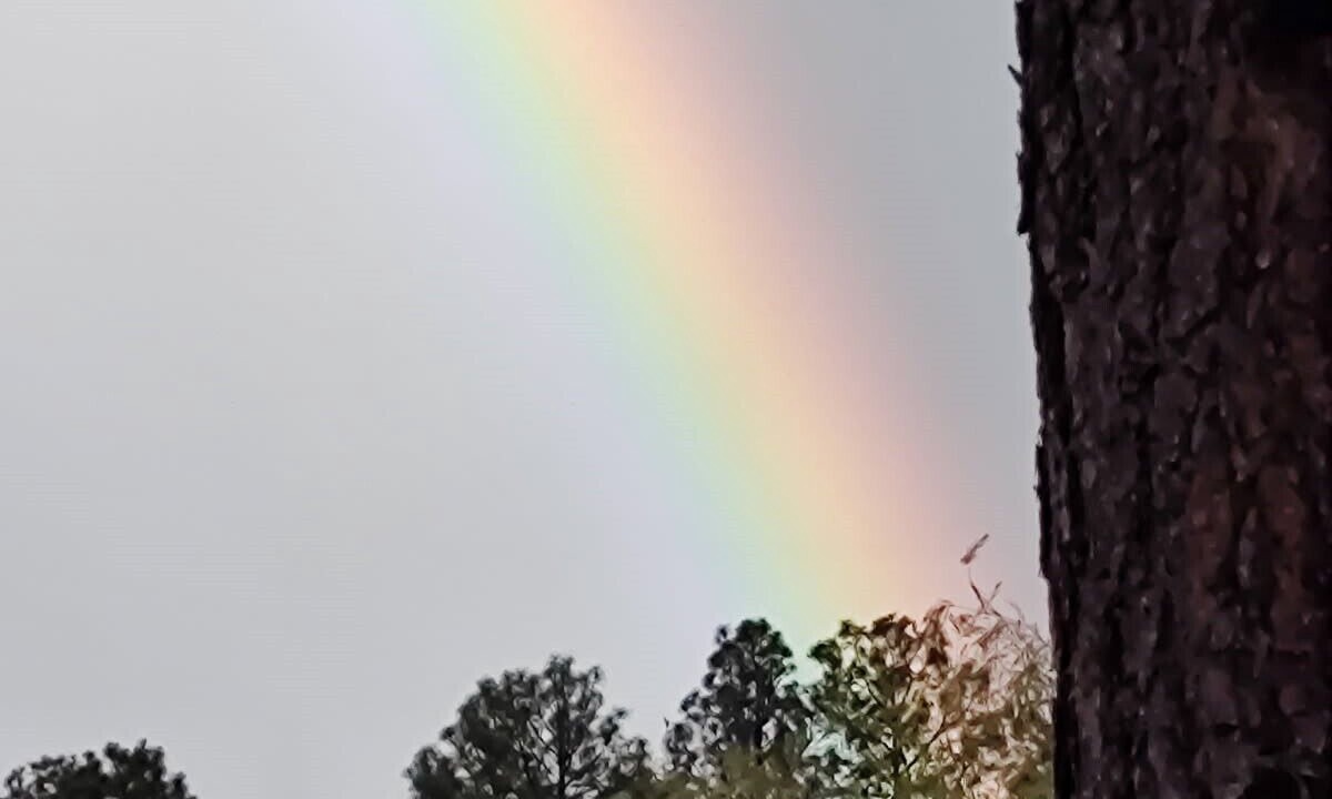 Photo of Others in Pinetop-Lakeside