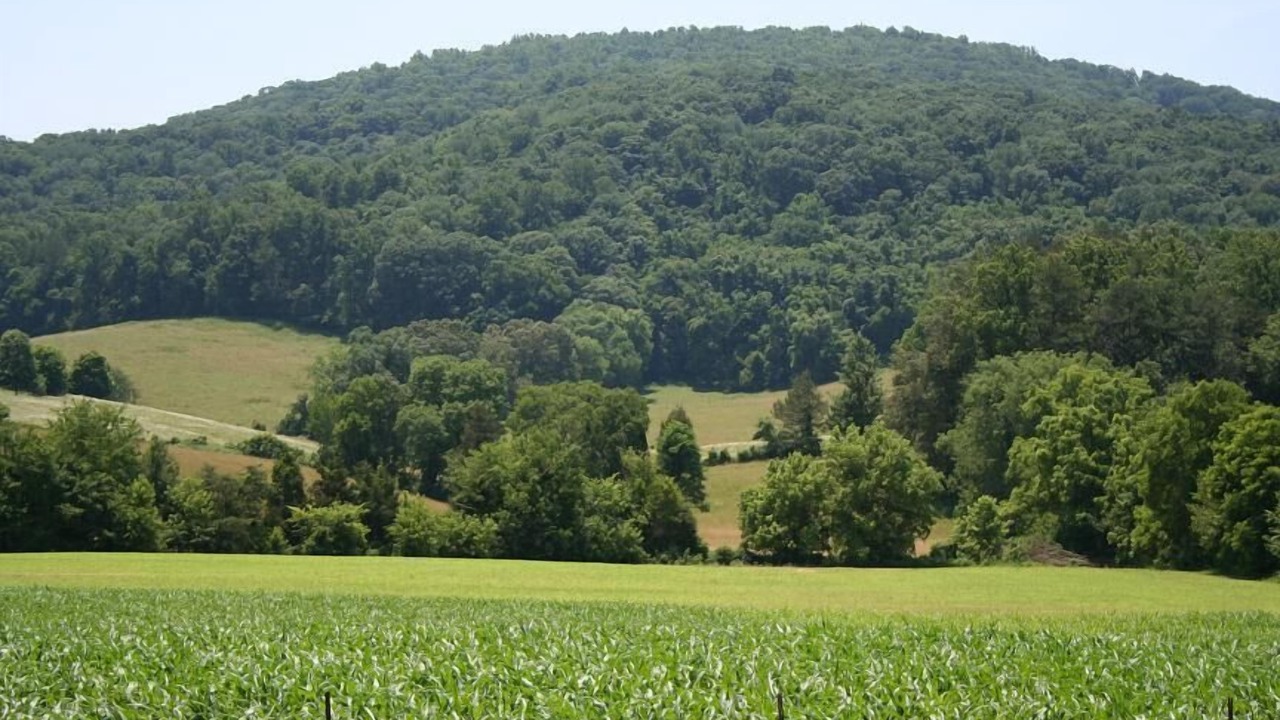 Photo of Others in Sevierville