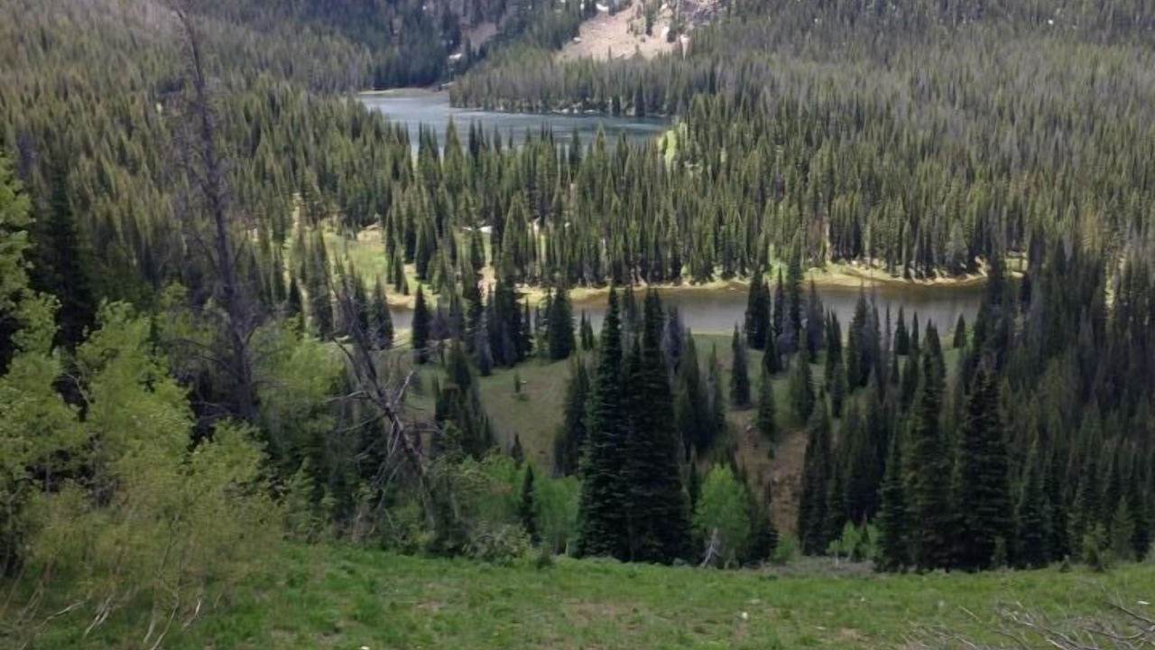 Photo of Outdoor in Encampment